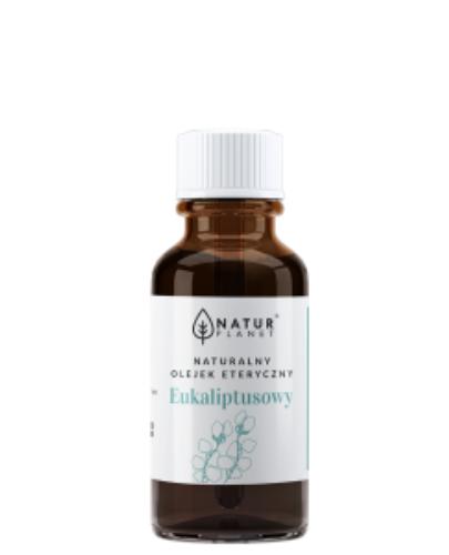 NATUR PLANET Olejek eukaliptusowy, 10 ml zdjęcie