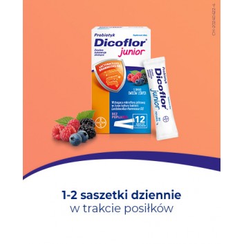 Dicoflor Junior żywe kultury bakerii 12 saszetek